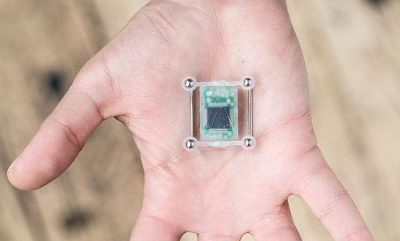 Cyber Nest Implantat 04 837x500