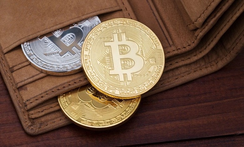 Bitcoin wallet billetera cartera resguardo custodia