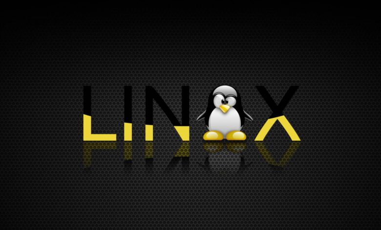 sistema operativo linux ransomware